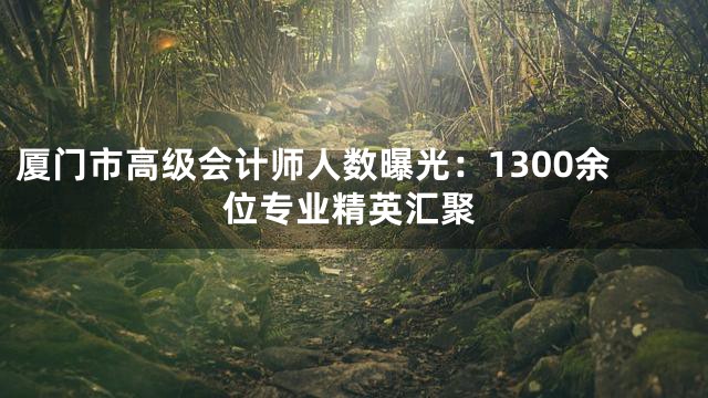 厦门市高级会计师人数曝光：1300余位专业精英汇聚