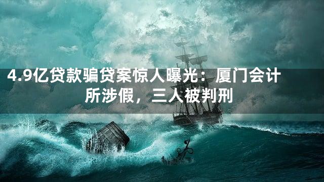 4.9亿贷款骗贷案惊人曝光：厦门会计所涉假，三人被判刑