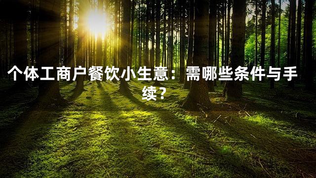 个体工商户餐饮小生意：需哪些条件与手续？