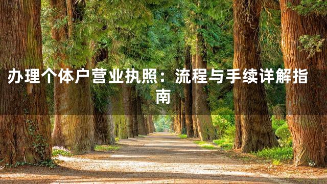 办理个体户营业执照：流程与手续详解指南