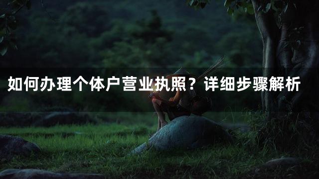 如何办理个体户营业执照？详细步骤解析
