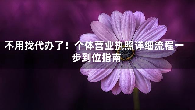 不用找代办了！个体营业执照详细流程一步到位指南