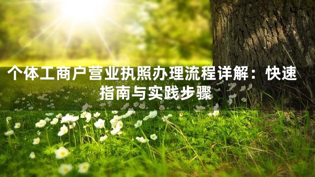 个体工商户营业执照办理流程详解：快速指南与实践步骤
