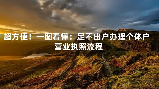 超方便！一图看懂：足不出户办理个体户营业执照流程