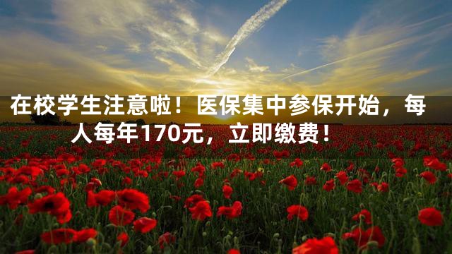 在校学生注意啦！医保集中参保开始，每人每年170元，立即缴费！