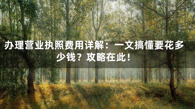 办理营业执照费用详解：一文搞懂要花多少钱？攻略在此！