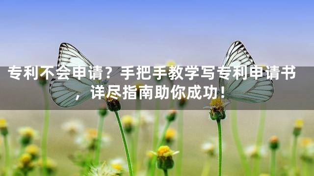 专利不会申请？手把手教学写专利申请书，详尽指南助你成功！