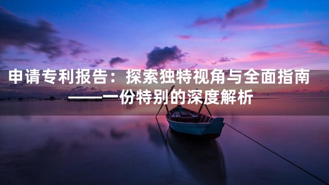 申请专利报告：探索独特视角与全面指南——一份特别的深度解析