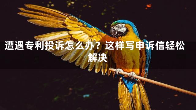遭遇专利投诉怎么办？这样写申诉信轻松解决