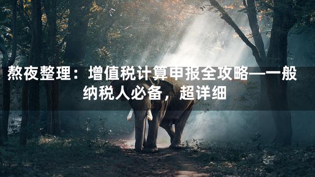 熬夜整理：增值税计算申报全攻略—一般纳税人必备，超详细