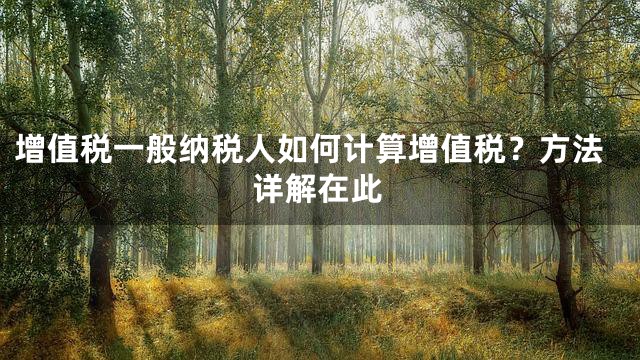 增值税一般纳税人如何计算增值税？方法详解在此