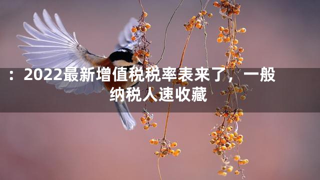：2022最新增值税税率表来了，一般纳税人速收藏
