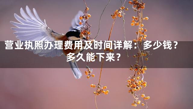 营业执照办理费用及时间详解：多少钱？多久能下来？