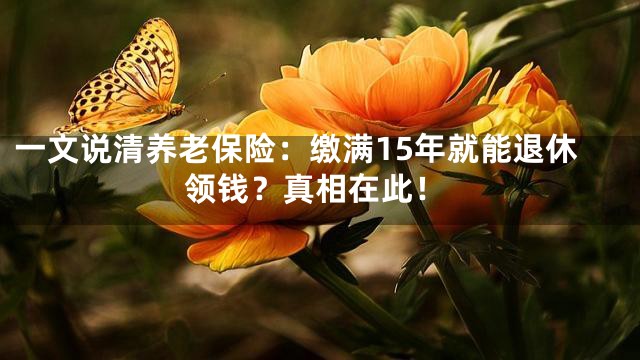 一文说清养老保险：缴满15年就能退休领钱？真相在此！