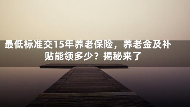 最低标准交15年养老保险，养老金及补贴能领多少？揭秘来了