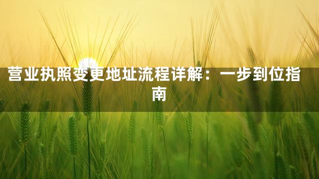 营业执照变更地址流程详解：一步到位指南