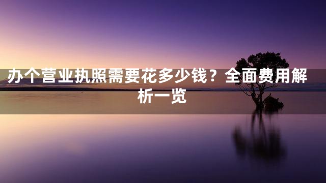 办个营业执照需要花多少钱？全面费用解析一览