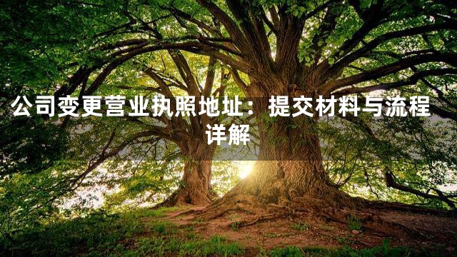 公司变更营业执照地址：提交材料与流程详解
