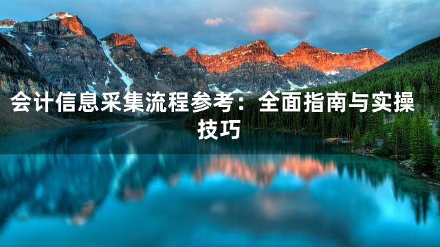 会计信息采集流程参考：全面指南与实操技巧