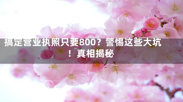 搞定营业执照只要800？警惕这些大坑！真相揭秘