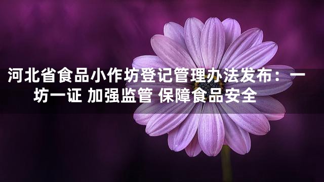 河北省食品小作坊登记管理办法发布：一坊一证 加强监管 保障食品安全