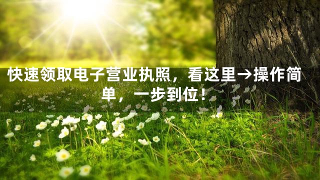 快速领取电子营业执照，看这里→操作简单，一步到位！