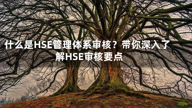 什么是HSE管理体系审核？带你深入了解HSE审核要点