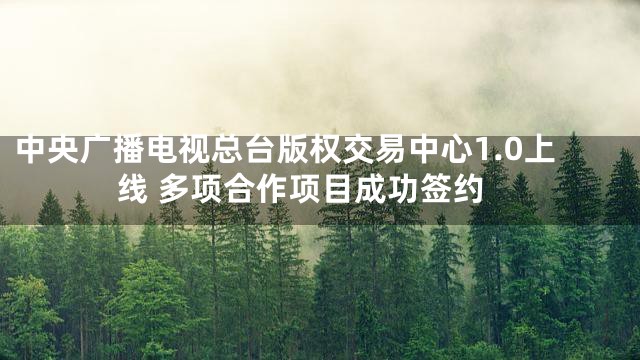中央广播电视总台版权交易中心1.0上线 多项合作项目成功签约