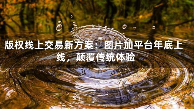 版权线上交易新方案：图片加平台年底上线，颠覆传统体验