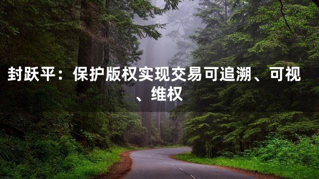 封跃平：保护版权实现交易可追溯、可视、维权