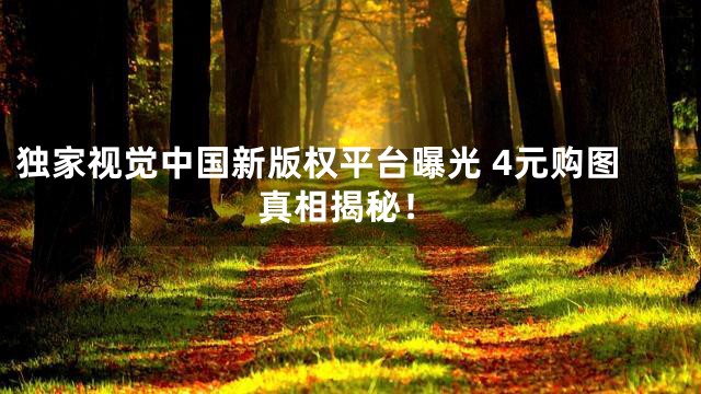 独家视觉中国新版权平台曝光 4元购图真相揭秘！