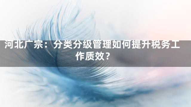 河北广宗：分类分级管理如何提升税务工作质效？