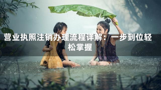 营业执照注销办理流程详解：一步到位轻松掌握