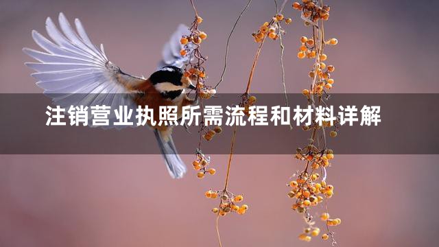 注销营业执照所需流程和材料详解