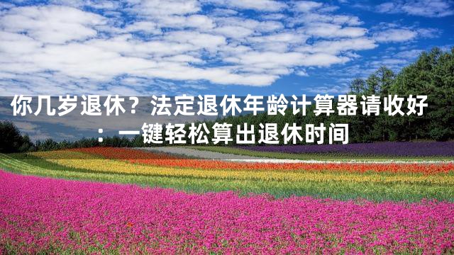 你几岁退休？法定退休年龄计算器请收好：一键轻松算出退休时间