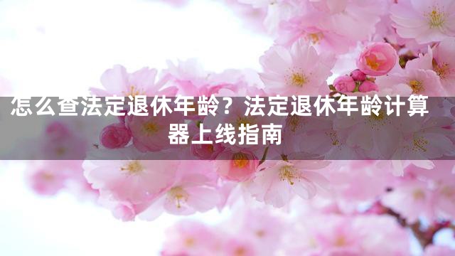 怎么查法定退休年龄？法定退休年龄计算器上线指南