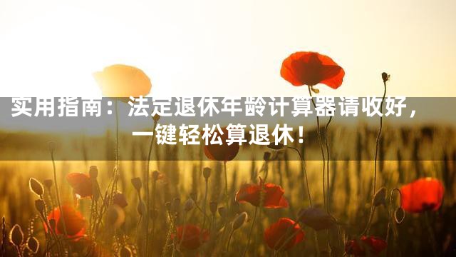 实用指南：法定退休年龄计算器请收好，一键轻松算退休！