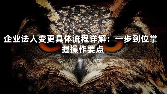 企业法人变更具体流程详解：一步到位掌握操作要点