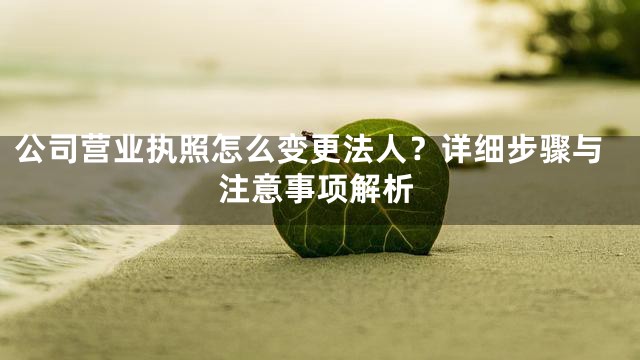 公司营业执照怎么变更法人？详细步骤与注意事项解析