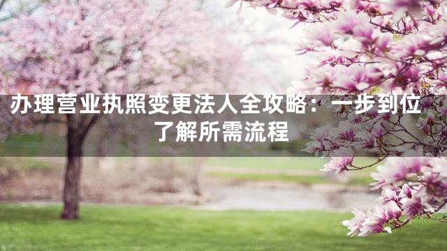 办理营业执照变更法人全攻略：一步到位了解所需流程