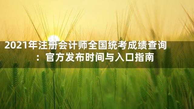 2021年注册会计师全国统考成绩查询：官方发布时间与入口指南