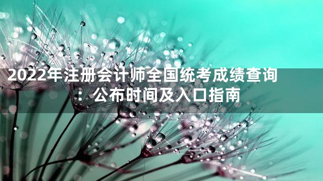 2022年注册会计师全国统考成绩查询：公布时间及入口指南