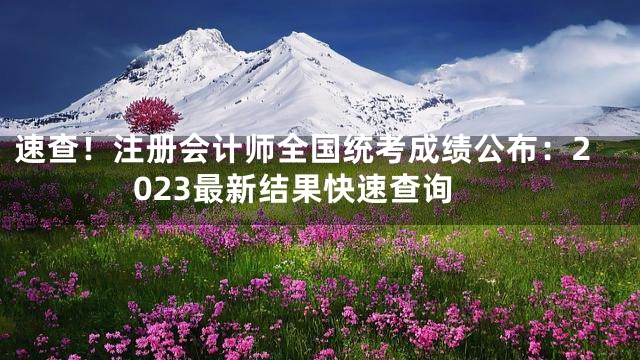 速查！注册会计师全国统考成绩公布：2023最新结果快速查询