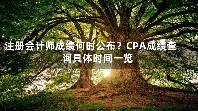 注册会计师成绩何时公布？CPA成绩查询具体时间一览