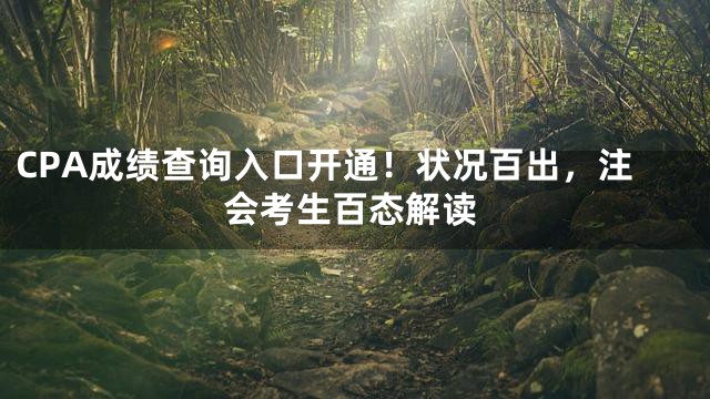 CPA成绩查询入口开通！状况百出，注会考生百态解读
