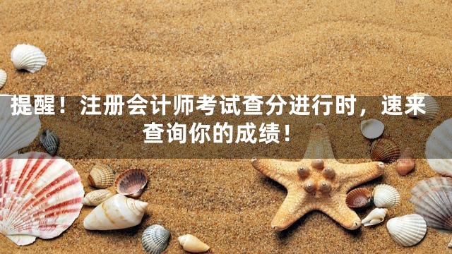提醒！注册会计师考试查分进行时，速来查询你的成绩！