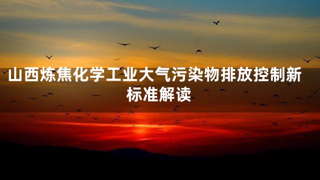 山西炼焦化学工业大气污染物排放控制新标准解读