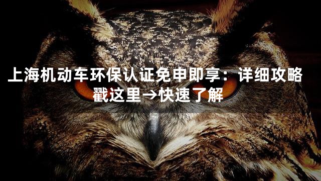 上海机动车环保认证免申即享：详细攻略戳这里→快速了解