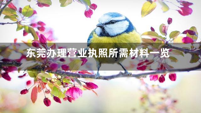 东莞办理营业执照所需材料一览
