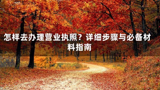 怎样去办理营业执照？详细步骤与必备材料指南